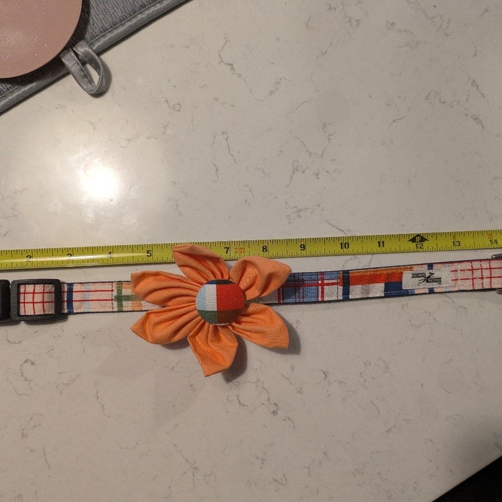 Flower Dog collar - Picture 9 of 16